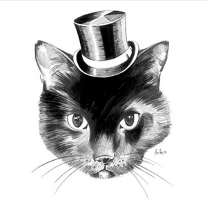 董卿被黑人玩的嗷嗷叫
