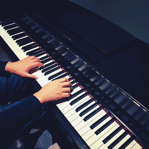 董卿被黑人玩的嗷嗷叫
