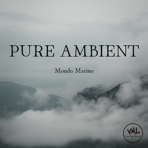 董卿被黑人玩的嗷嗷叫
